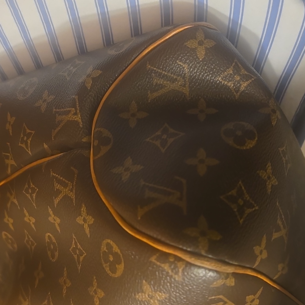 Louis Vuitton Monogram Delightful Bag in Brown and Tan Leather - Picture 9 of 14